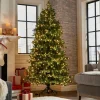 American Tree & Wreath Tree With 600 Leds