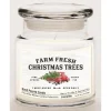 Courtside Market Fresh Farm Trees Wax Infused Candle With Glass Lid