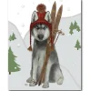Courtside Market Skiing Siberian Husky Canvas Wall Art