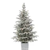 Gerson Company 4.5' Potted Lightly Flocked Iceland Fir With 70 Lights