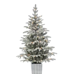 Gerson Company 4.5' Potted Lightly Flocked Iceland Fir With 70 Lights