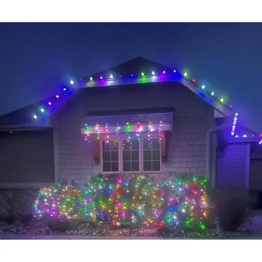 Holidynamics 25 Bulb Add-On Dynamic Rgb Set