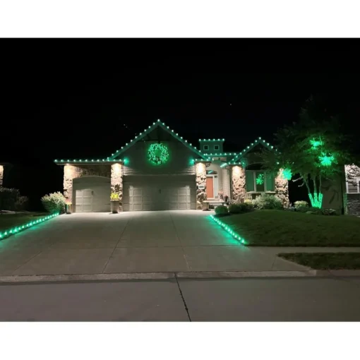 Holidynamics 25 Bulb Add-On Dynamic Rgb Set