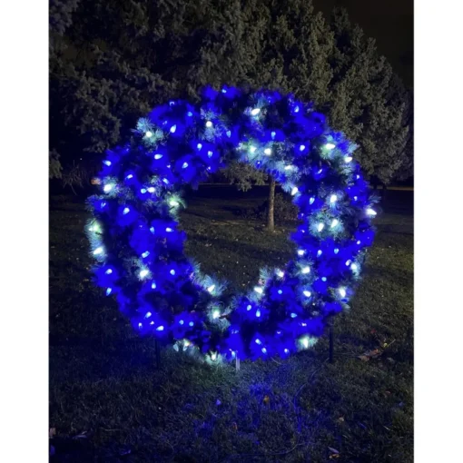 Holidynamics 25 Bulb Add-On Dynamic Rgb Set