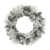 Puleo International 24" Flocked Berkshire Spruce Wreath With 56 Tips