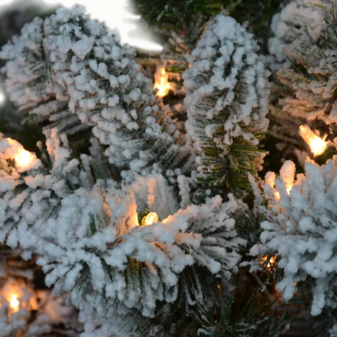 Puleo International 6' Pre-Lit Flocked Virginia Pine Tree