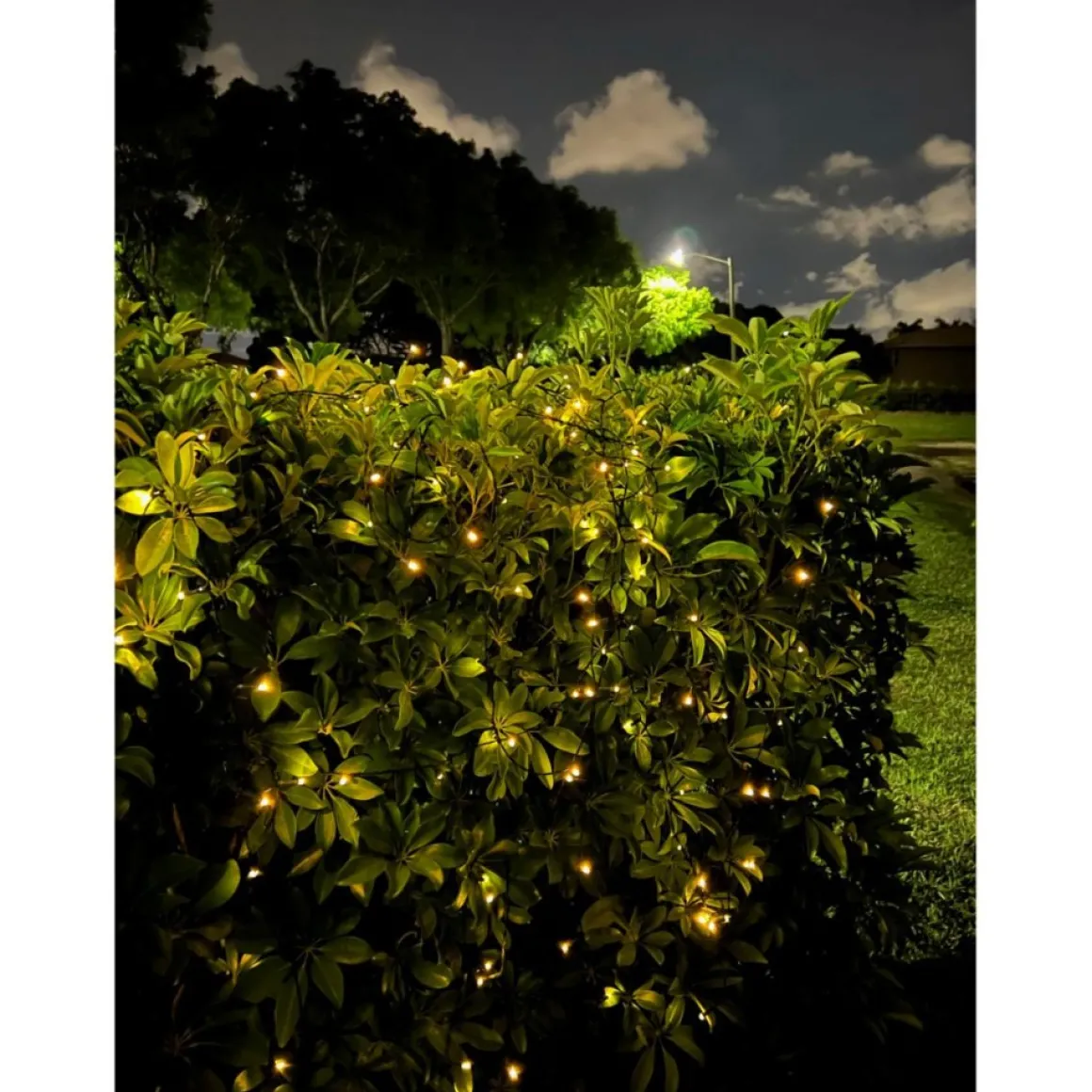 Winter Lane 150-Led Strand Of Solar-Powered Fairy Lights
